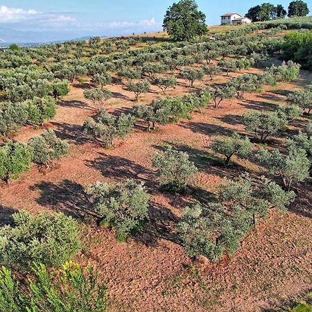 Agriturismo Incanto Della Natura Cannara Ngoại thất bức ảnh