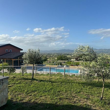 Agriturismo Incanto Della Natura Cannara Ngoại thất bức ảnh