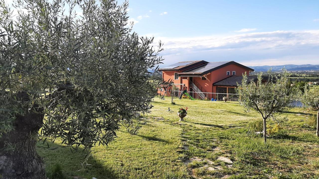 Agriturismo Incanto Della Natura Cannara Ngoại thất bức ảnh